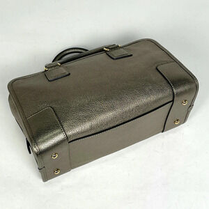Loewe Handbag Gold Amazona Leather Metallic Anagram